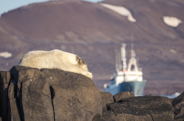 Soleil de minuit au Svalbard