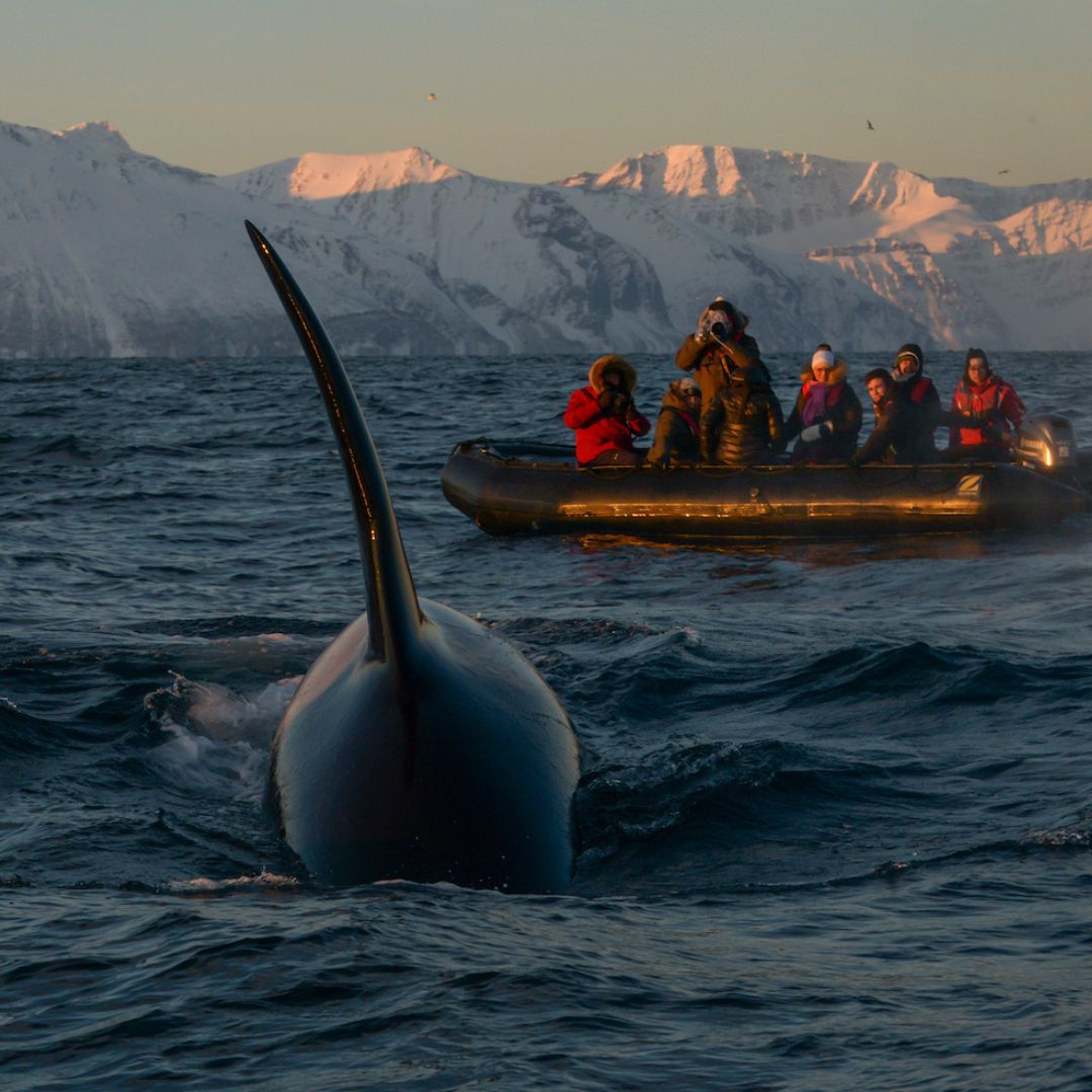 Voyage photographique dans le nord de la Norvège