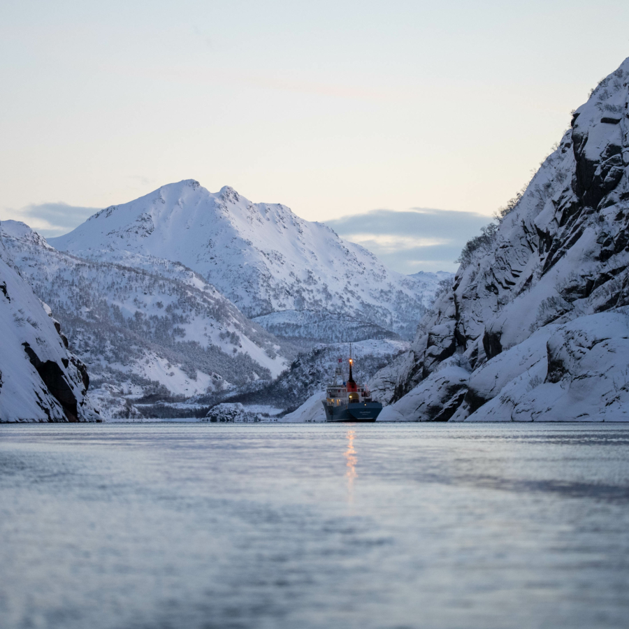 Trollfjord