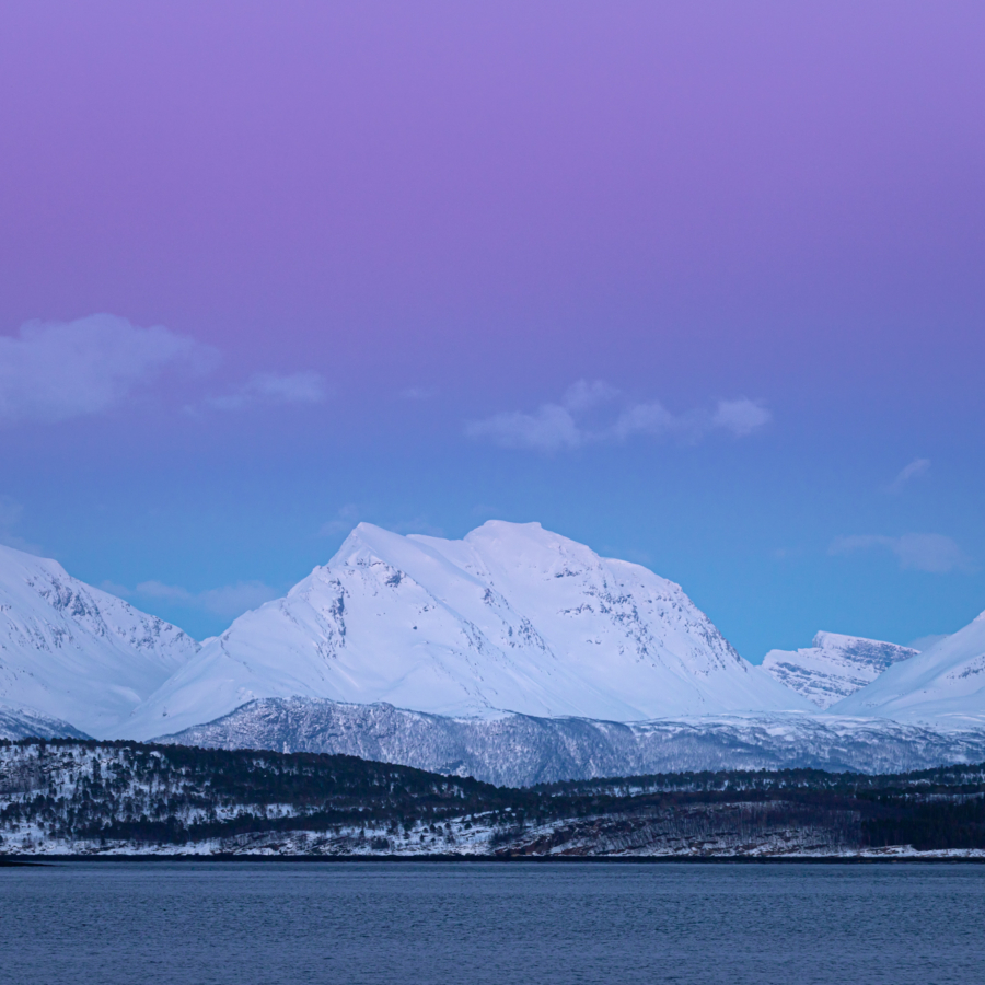 Senja
