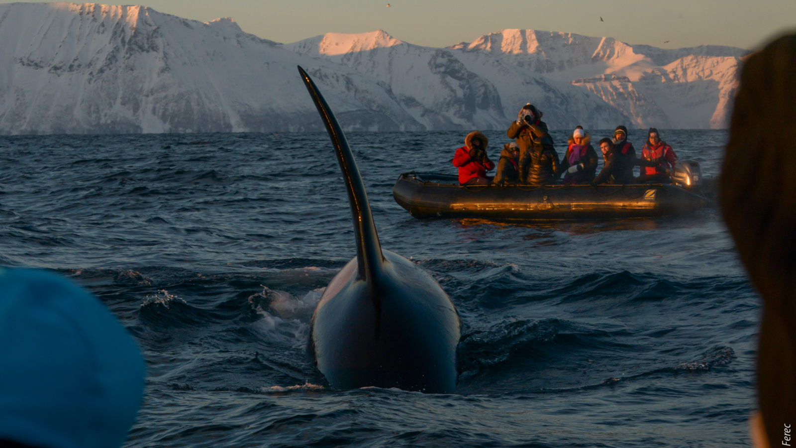 Voyage photo en Norvège 2026