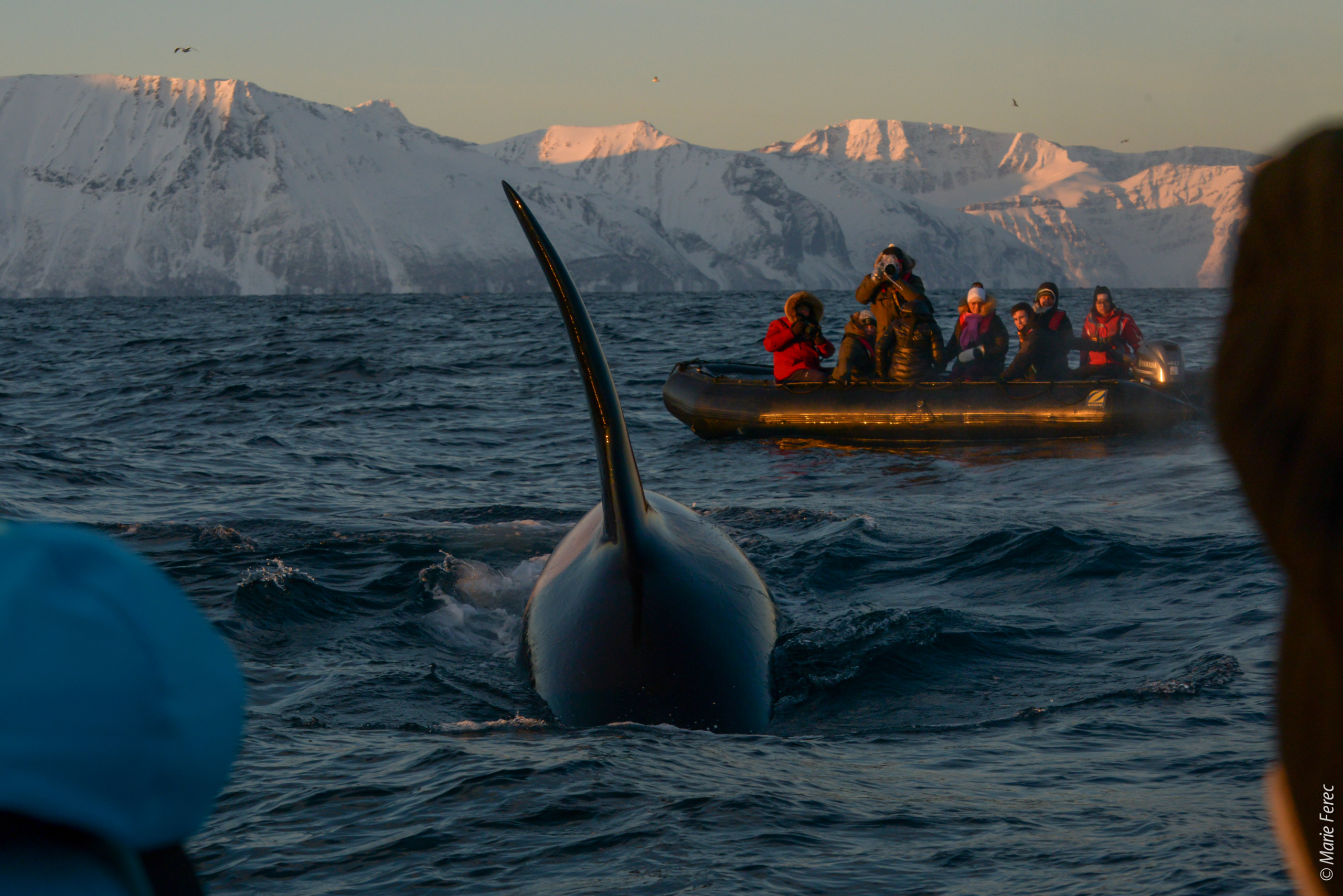 Voyage photo en Norvège 2026