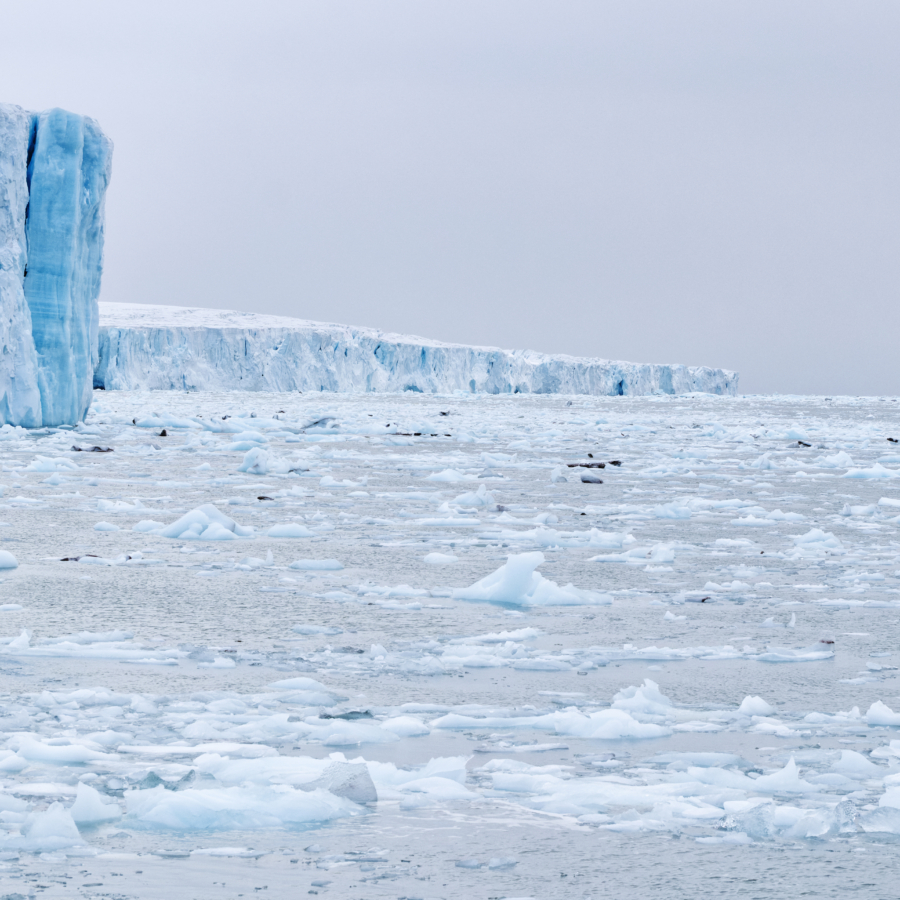 Bråsvellbreen