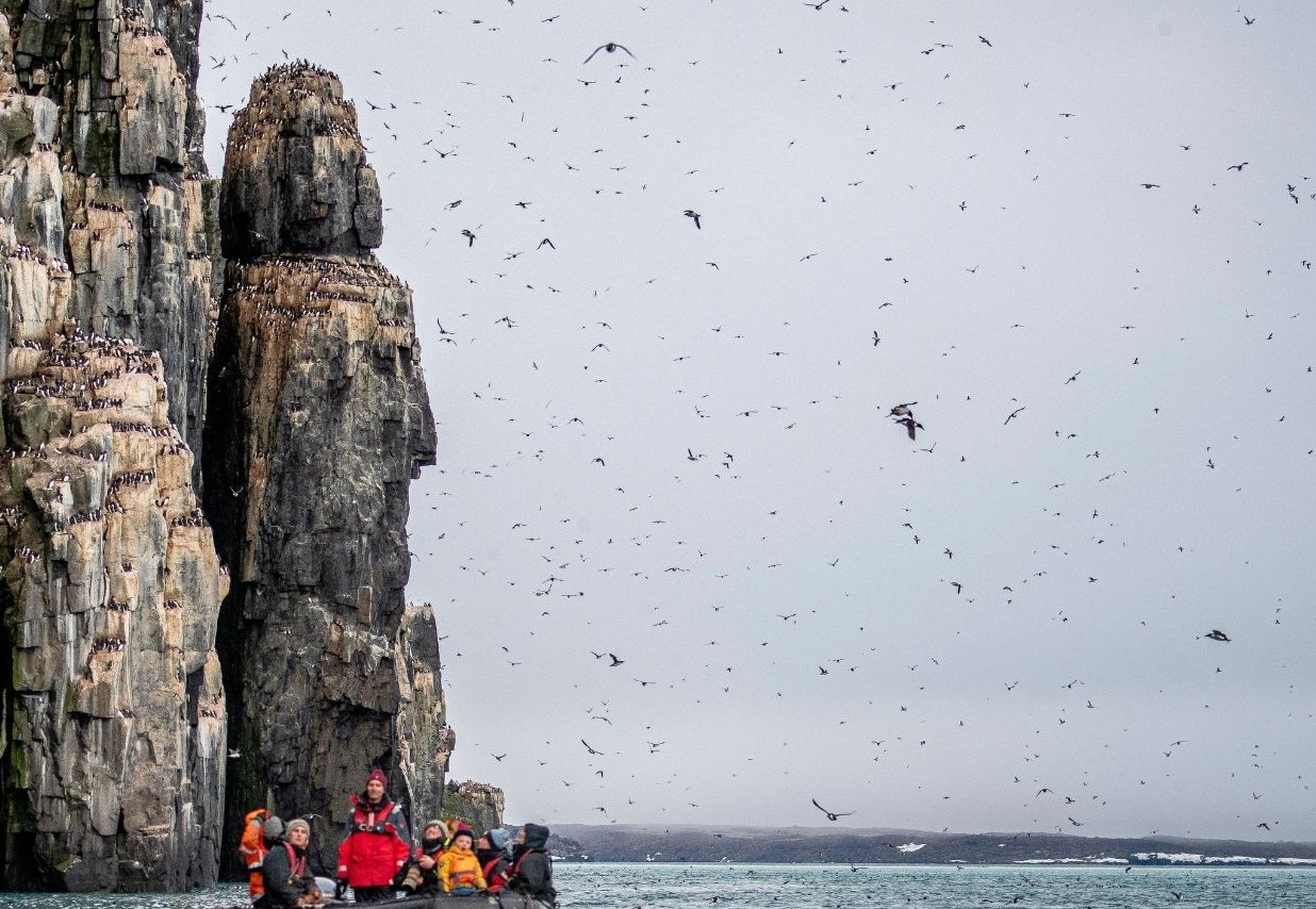 The bird cliffs of Alkhornet
